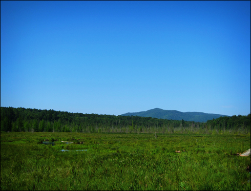 Adirondack Wetlands: St. Regis Mountain from Heron Marsh at the Paul Smiths VIC (22 July 2011)